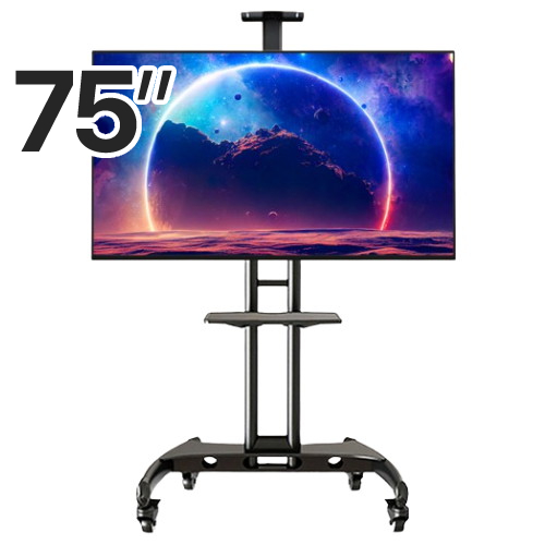 이스트라 쿠카 144Hz AI 75 미니LED 퀀텀 사운드 구글TV 이동형 패키지 (이스트라 이동형 스탠드 A타입)
