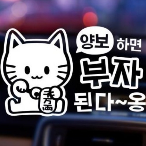 제제데코 양보하면 부자된다옹 초보운전 스티커