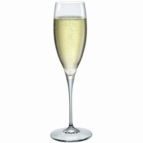 보르미올리 프리미엄 샴페인잔 250ml (1개)_이미지