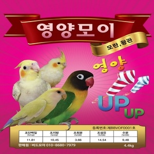 부산사료 애완조침대 장난감 앵무새모이 모란 왕관 코뉴어몸줄이미지입니다. 누르면 해당 게시물로 새창이동합니다.