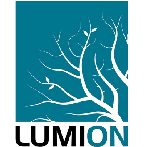 루미온 Lumion 2023 Standard (3년 라이선스)_이미지