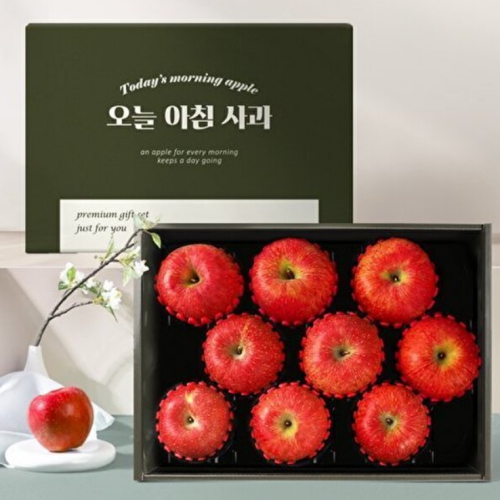 해피사과 오늘 아침 사과 선물세트 9과 3kg (1개)_이미지