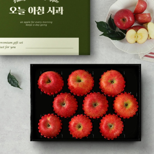  오늘아침사과 명품 사과선물세트 3kg 9과