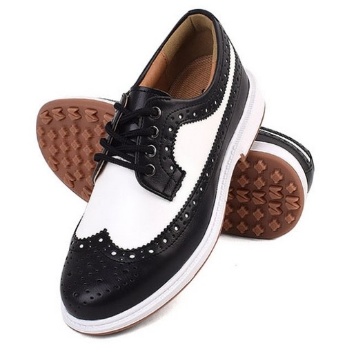 �������� �ص����� ����Ʈ �̱۾��� ����