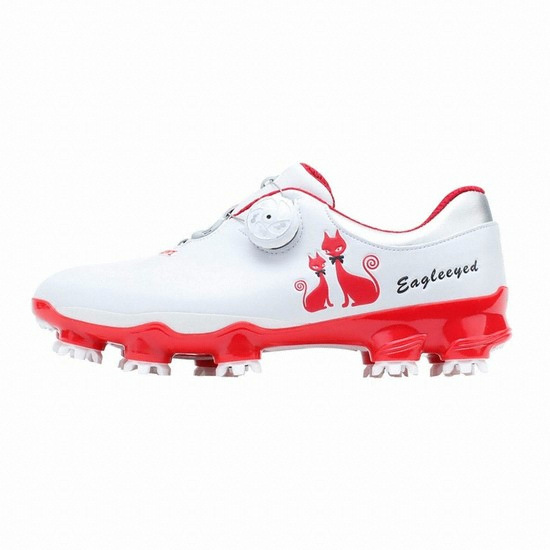 �̱۾��̵� �ֵ���� Ĺ CR1