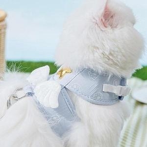셀러허브 반려동물 천사 하네스-리드줄 L 고양이 강아지하네스 S11044792이미지입니다. 누르면 해당 게시물로 새창이동합니다.