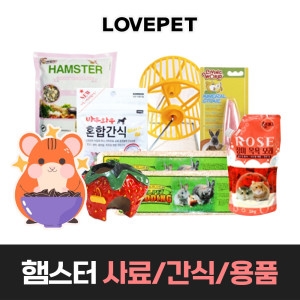 곰돌이 은신처 소_이미지