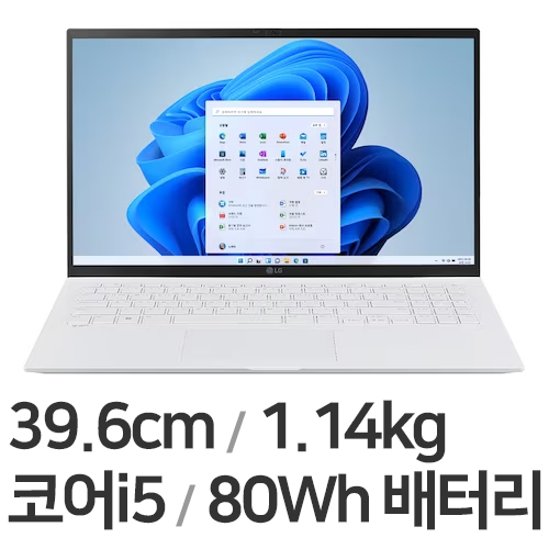 LG전자 2022 그램15(12세대) 15Z90Q-G.AA5NK (SSD 256GB)
