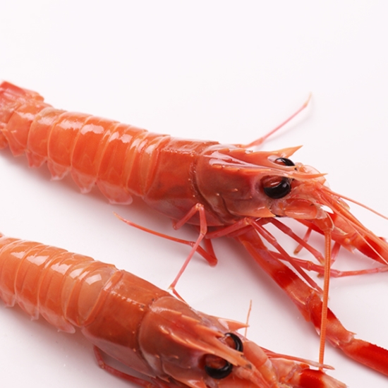 바른씨 제주도 자연산 딱새우 500g (1개)_이미지