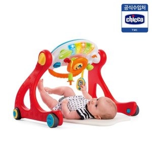 치코 공식수입원 4단계 변신 아기체육관-그로우앤워크짐 아기체육관부터 걸음마보조기까지_이미지