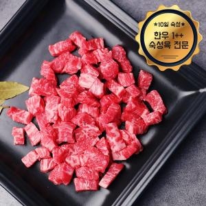 웰굿 냉장 숙성육 1++ 9 등급 숙성한우 치마양지 300g_이미지
