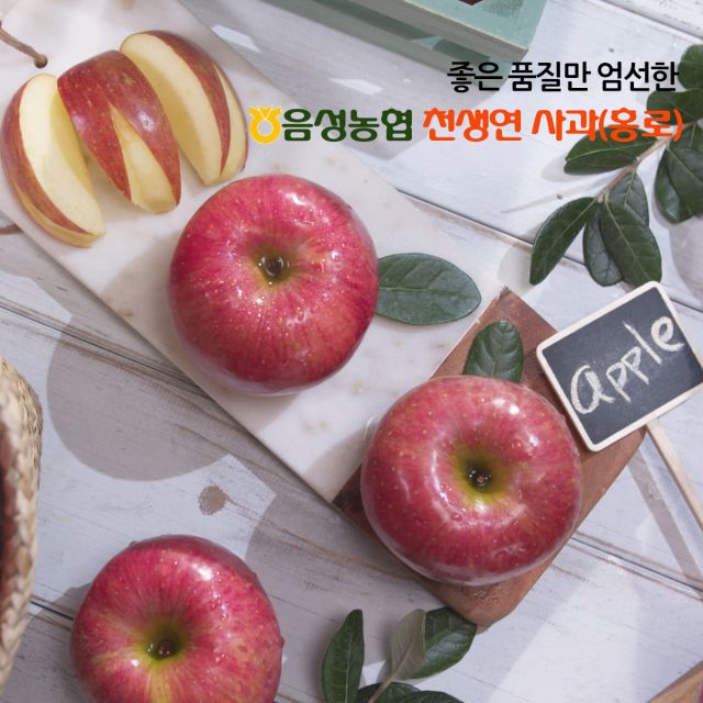음성농협 천생연 세척사과 10~17과 (과당 180~30g내외) 3kg