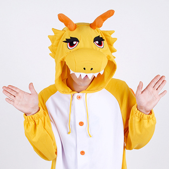 �����̿��� ����ƮȦ�� �������-�밨���� Ȳ��