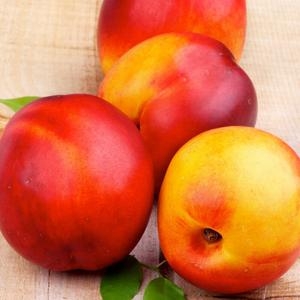 오늘담은 신비복숭아 대과 16과내외 2kg (1개)_이미지