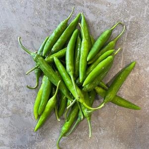 국내산 청량고추 청양고추 땡초 매운고추 1kg 특품