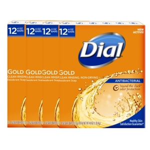 다이알 골드 비누 113g (48개)