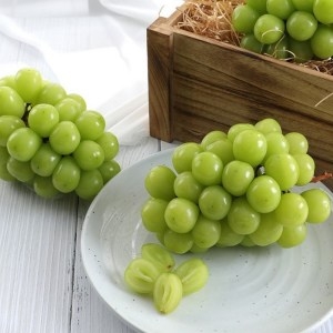 경북 영천경산 샤인머스캣 4kg