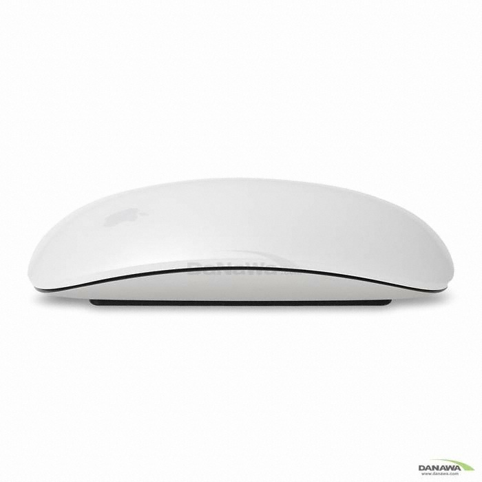 APPLE Magic Mouse (정품)_이미지