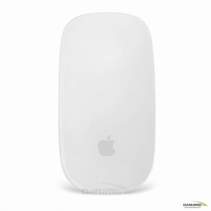 APPLE Magic Mouse (정품)_이미지