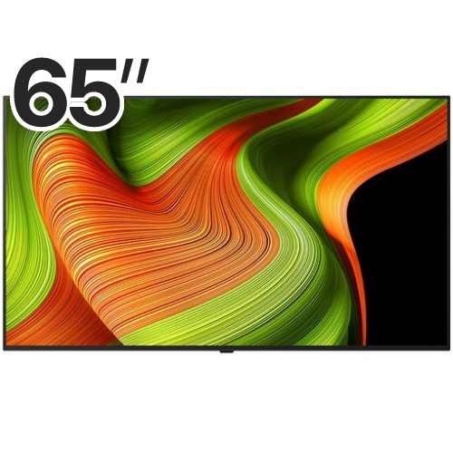 LG���� �÷��� AI OLED65B5ENA