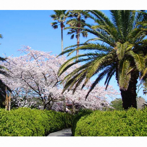 ㅤ제주 한림공원 + 월드제트보트 (소인)_이미지