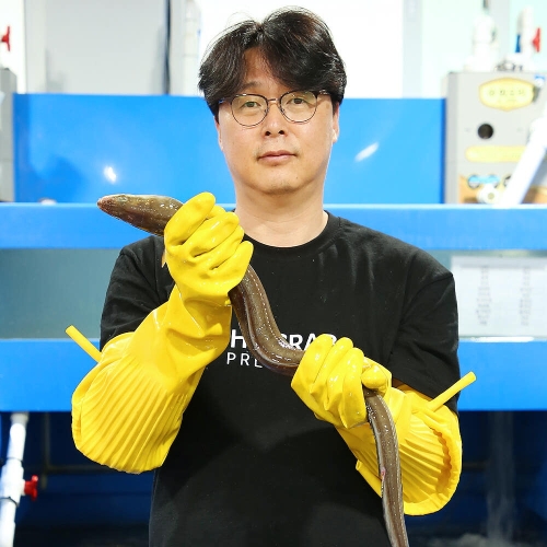 더꽃게 통영 바다장어 특대 1kg 손질 후 600-750g 장어 붕장어 아나고 구이 갯장어 하모회_이미지