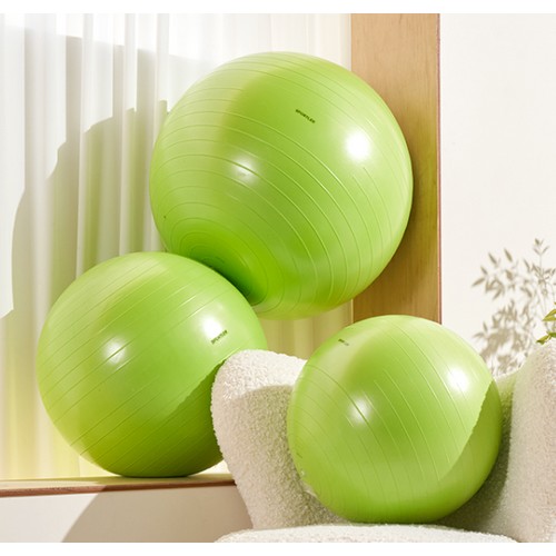 스포틀러 하이퍼 안티버스트 짐볼 (65cm)