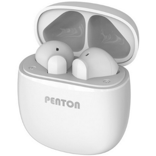 �ǿ����� ��ó�� PENTON ����