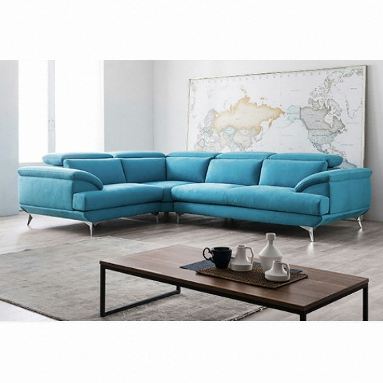 �Ѻ��ڸ��� ���� ���ν� �ڳ� ���׻�׿� �к긯 ���� 6�ο�