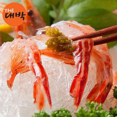 더대박 활 독도새우 꽃새우 닭새우 도화새우 1세트 닭새우 500g_이미지