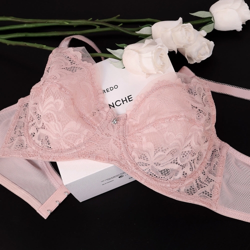 비너스 블룸 레이스 와이어 홑겹 브라 BR0036_LB 여성속옷 브래지어 B컵 C컵이미지입니다. 누르면 해당 게시물로 새창이동합니다.