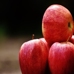 ���̳�� �� �帱�Կ� �� �λ� ��� �꽺�� ���߷� 8kg