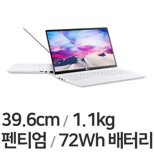 LG전자 2020 그램15 15ZD995-LX20K (SSD 128GB)
