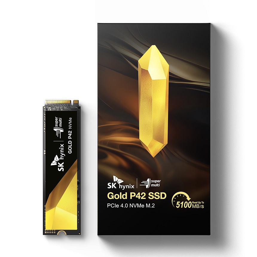 SK���̴н� Gold P42 M.2 NVMe