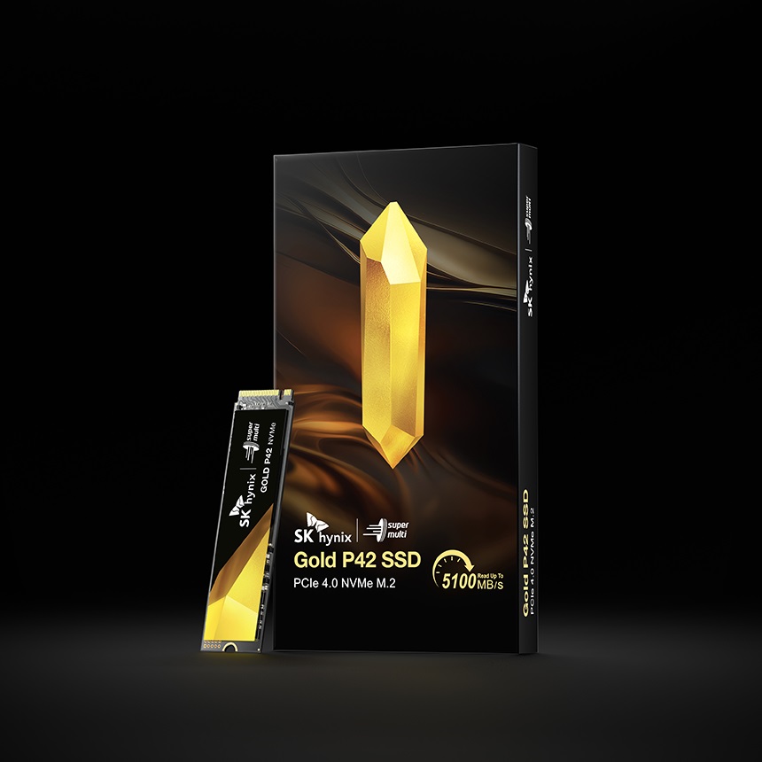SK���̴н� Gold P42 M.2 NVMe