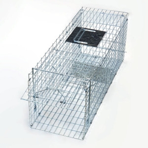 [�Ҹ�] ����ġ Ư���� ��ȹ��