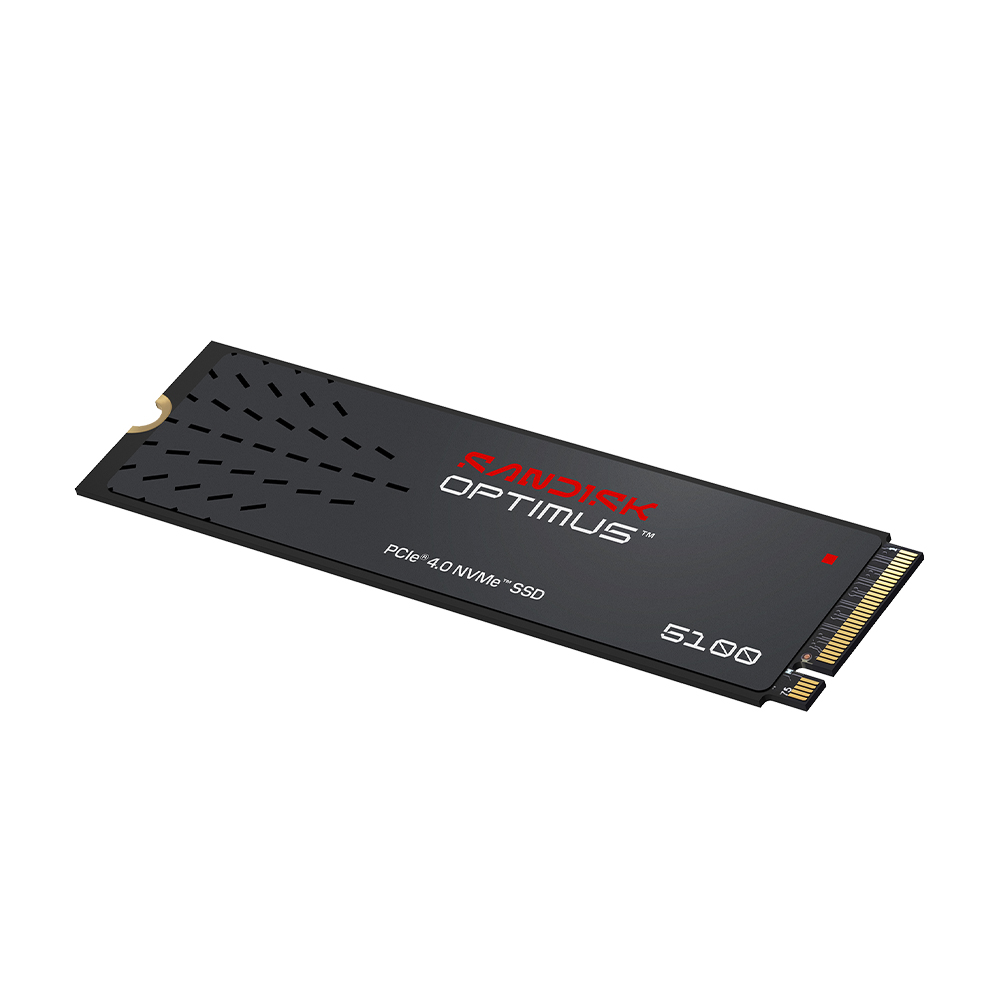 Sandisk Optimus 5100 M.2 NVMe (2TB)_이미지