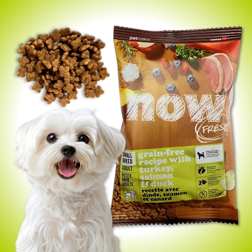 펫큐리언 나우(NOW) 독 프레쉬 스몰브리드 어덜트 40g (1개)