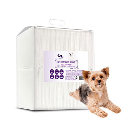 �����ٶ����� �����̾� ������ �ְ��е� 100��