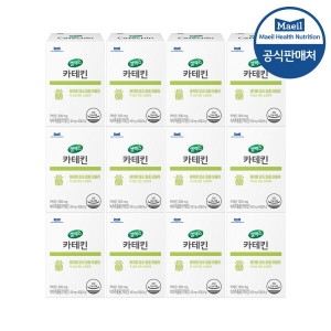 뉴트리디데이 카테킨 400 60정 (12개)_이미지