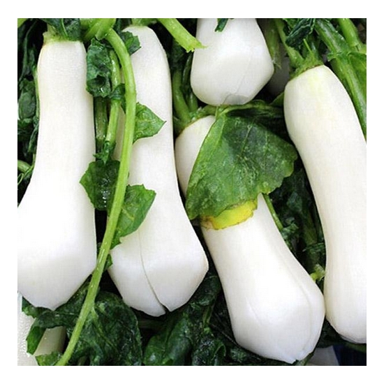 전라김치 절임 알타리무 5kg (1개)_이미지