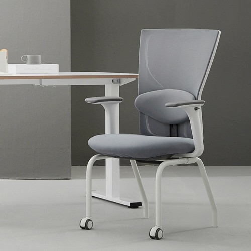 체어스코 엘리트 화이트바디 2D 조절팔+허리받침 세트 의자