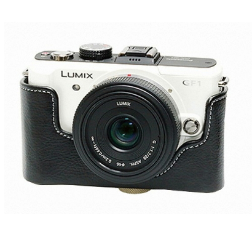 ȣ�罺���� �ĳ��Ҵ� DMC GF-1�� HC-GF1 �ӻ����̽�