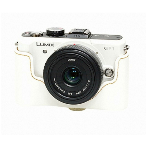 ȣ�罺���� �ĳ��Ҵ� DMC GF-1�� HC-GF1 �ӻ����̽�