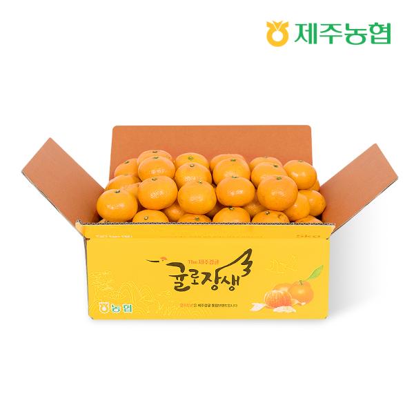 제주농협 귤로장생 하우스 감귤 (2S~L) 3kg (1개)_이미지