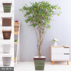 플라워트리 라인-올리브나무화분set 210cm  조화  FREOFT이미지입니다. 누르면 해당 게시물로 새창이동합니다.