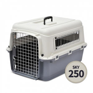 ä���� ���� ��ī�� �˳� 250