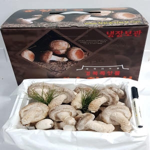 내일도착 착한송이송향버섯실속형  15시까지 주문시   공휴일제외_이미지