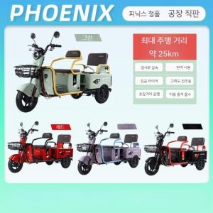 피닉스 Fengming 전기 세발 자전거 가정용 소형 배터리 스쿠터 펑밍모델650W모터+블랙골드48V13A