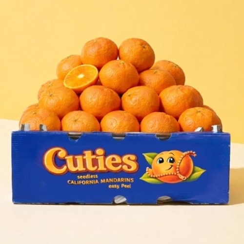 ���ȸ����ΰ��� ťƼ�� ���絵 ���ٸ� 16-30�� 2kg